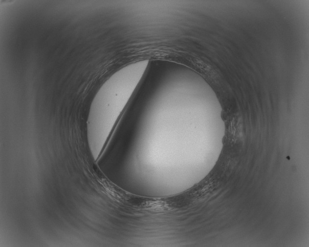 X0000054420424200507290931