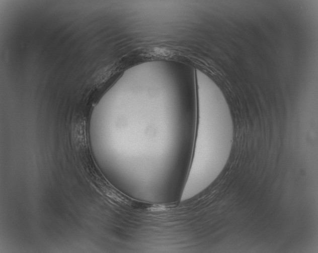 X0000054420425200507290931
