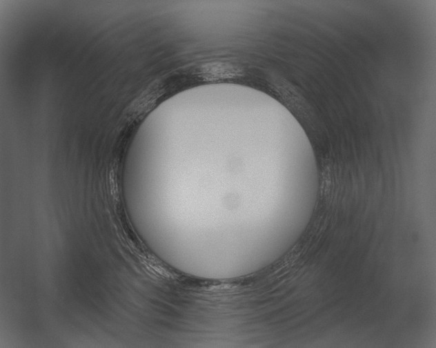 X0000054420426200507290931