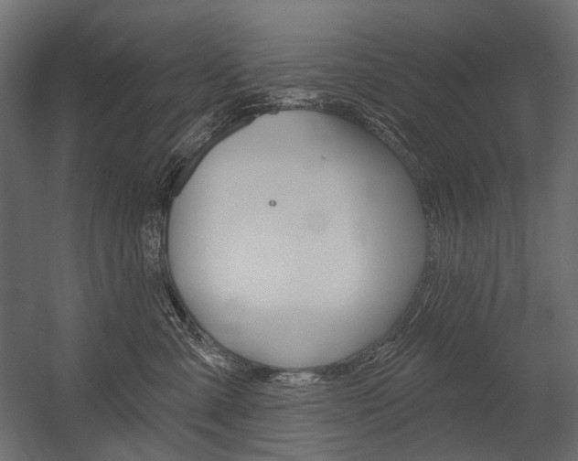 X0000054420427200507290931