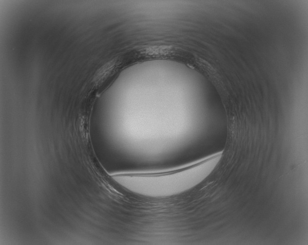 X0000054420428200507290931
