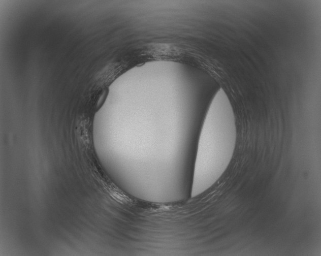X0000054420430200507290931