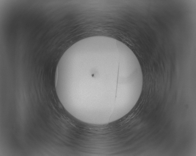 X0000054420431200507290931
