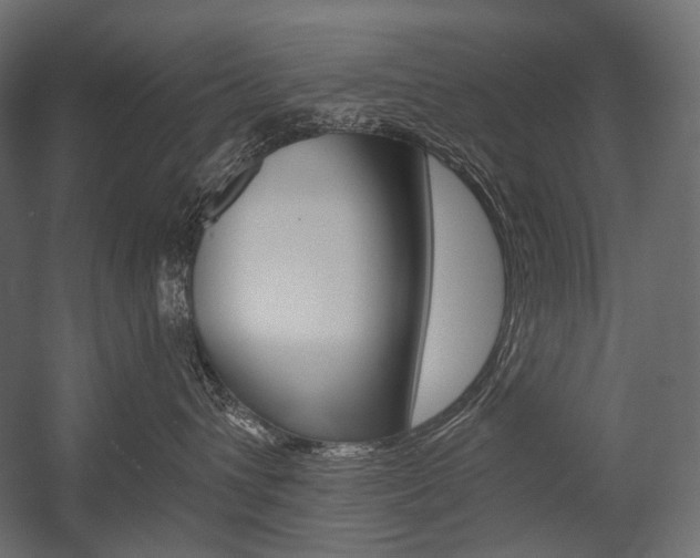 X0000054420432200507290931