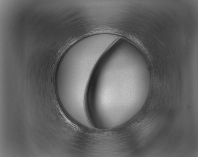 X0000054420433200507290930