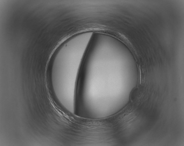 X0000054420435200507290930