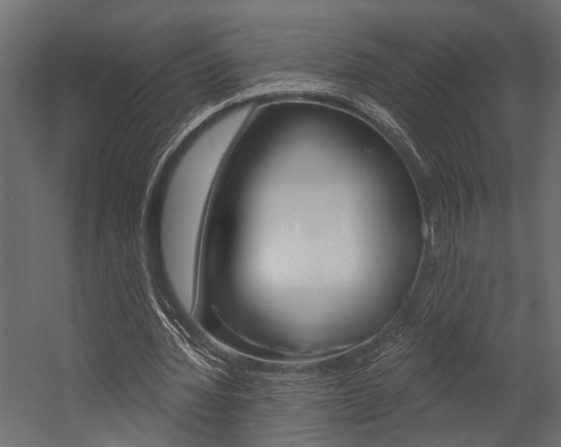 X0000054420436200507290930