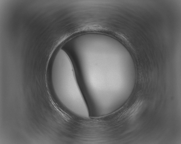 X0000054420439200507290930