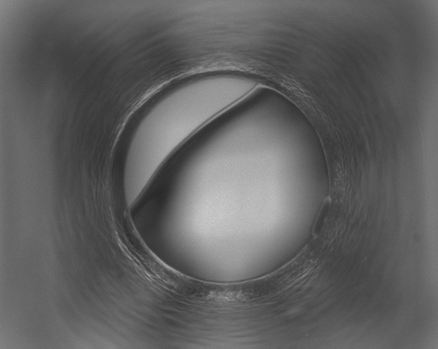 X0000054420440200507290930