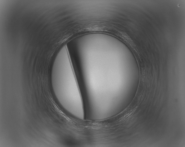 X0000054420441200507290930
