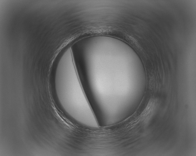 X0000054420443200507290930