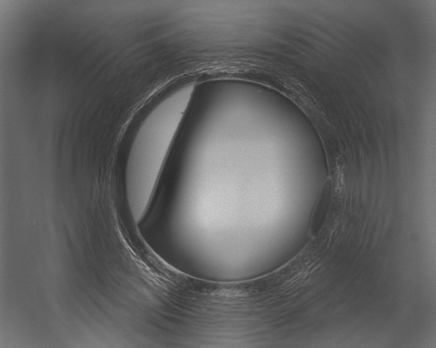 X0000054420444200507290930
