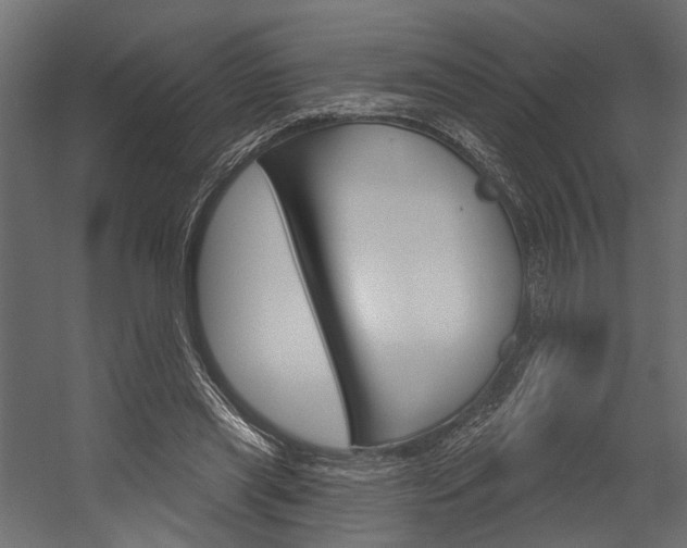 X0000054420445200507290930