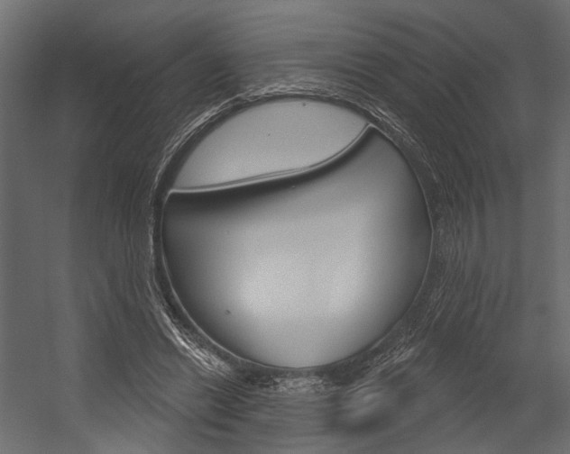 X0000054420446200507290930