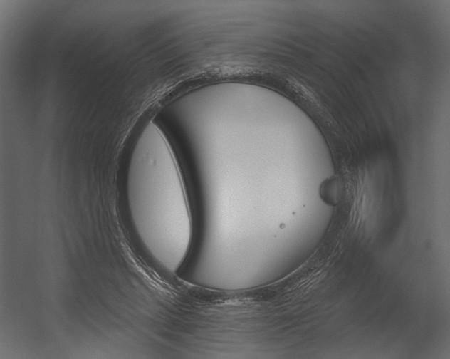 X0000054420447200507290930