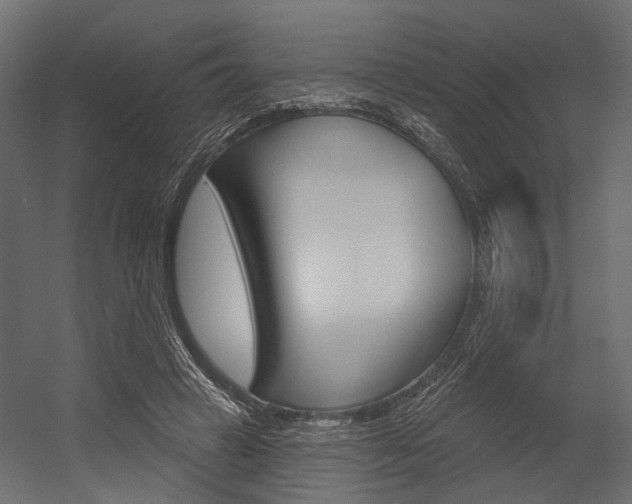 X0000054420449200507290930