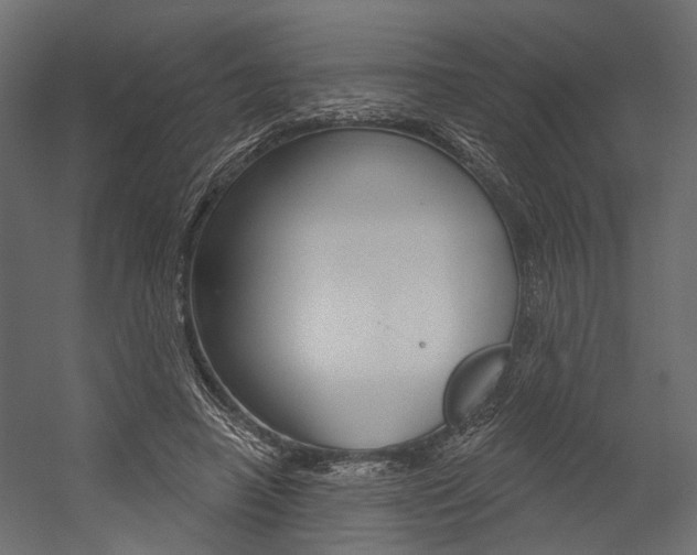 X0000054420450200507290930