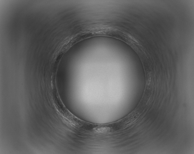 X0000054420452200507290930