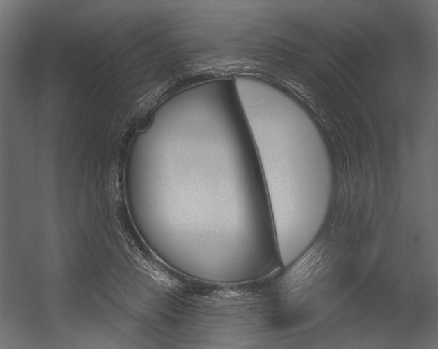 X0000054420453200507290930