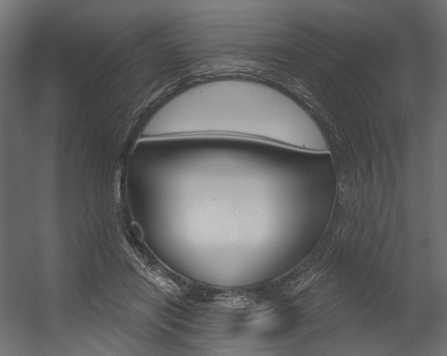 X0000054420454200507290930