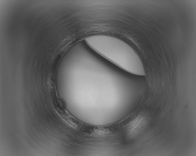 X0000054420455200507290930