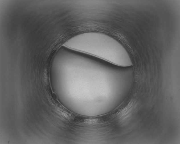 X0000054420457200507290930