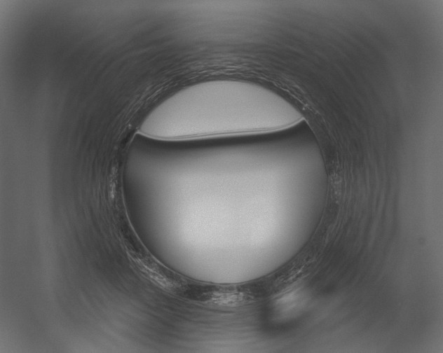 X0000054420458200507290930