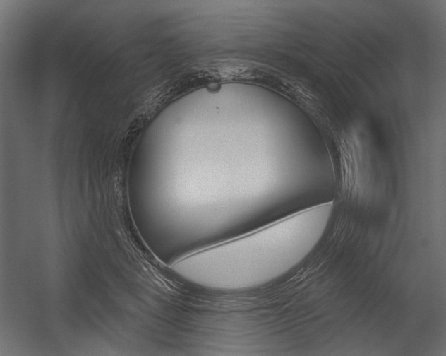 X0000054420461200507290930