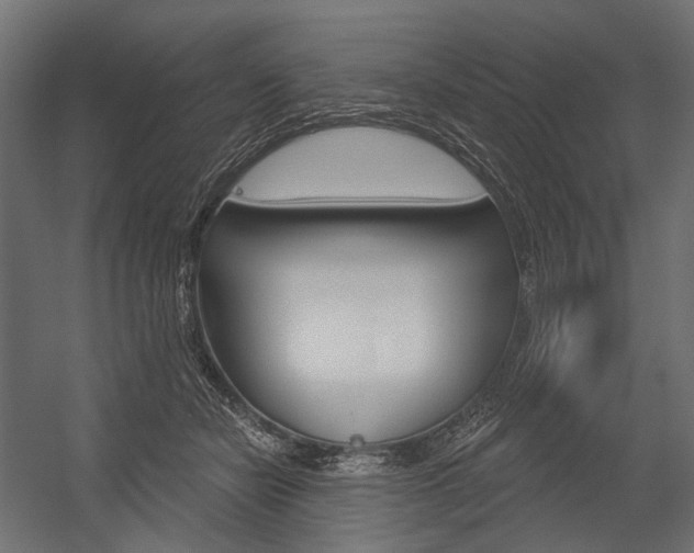 X0000054420462200507290930