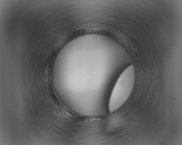 X0000054420463200507290930