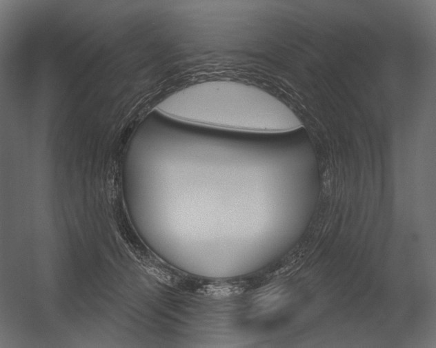 X0000054420464200507290930