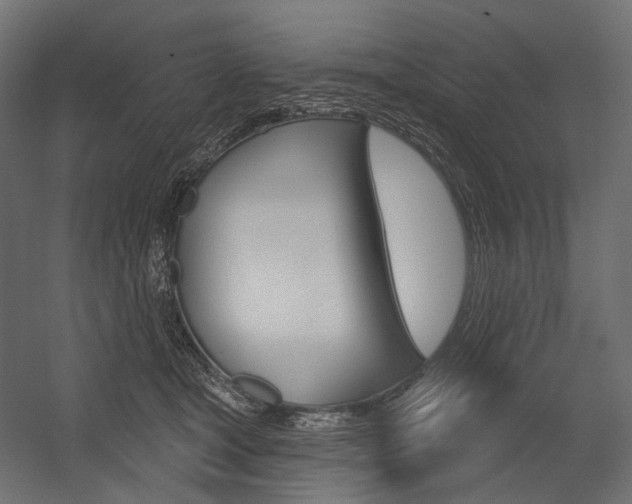 X0000054420465200507290930