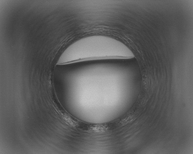 X0000054420466200507290930