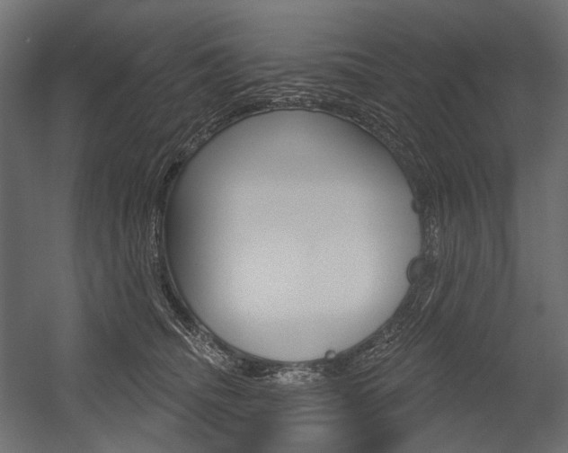 X0000054420468200507290930