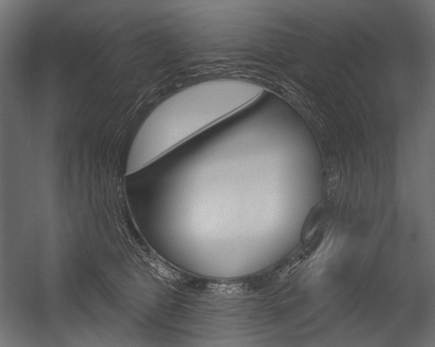 X0000054420469200507290930