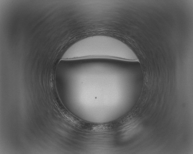X0000054420470200507290930