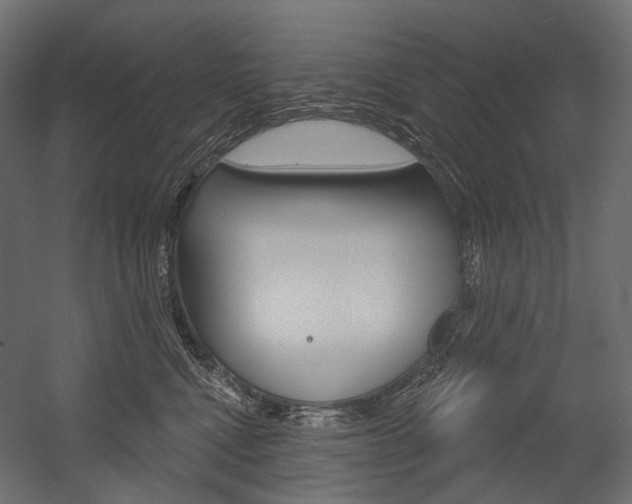 X0000054420472200507290930