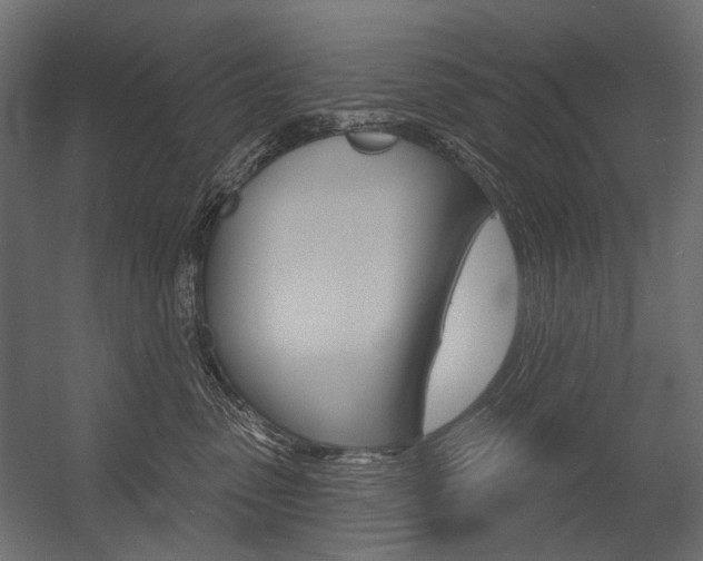 X0000054420475200507290930