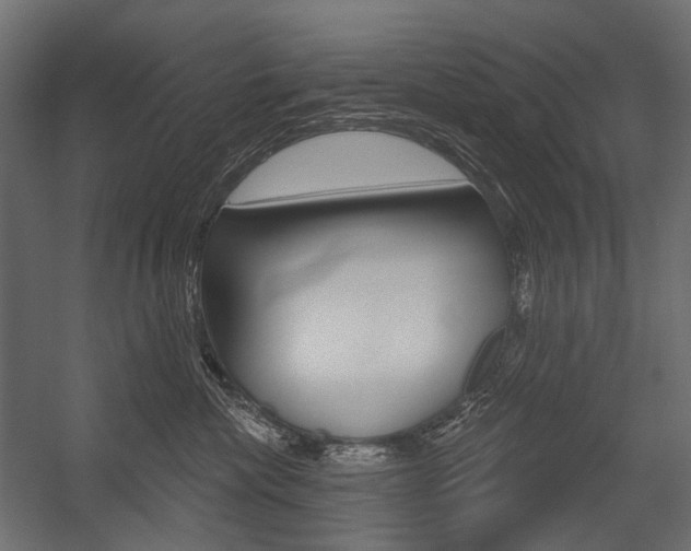X0000054420476200507290930