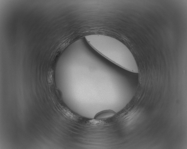 X0000054420477200507290930