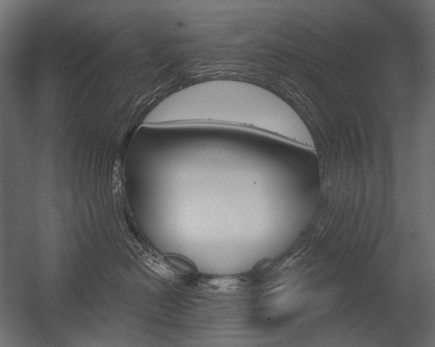 X0000054420478200507290931