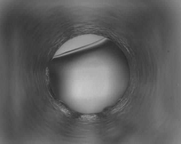 X0000054420480200507290931