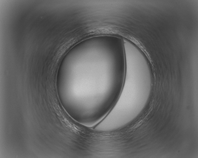 X0000054420481200507290930
