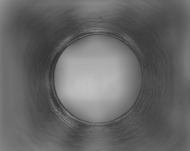 X0000054420482200507290930