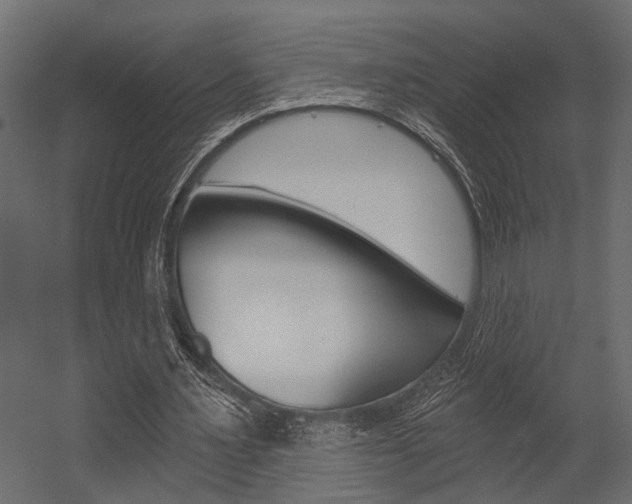 X0000054420483200507290930