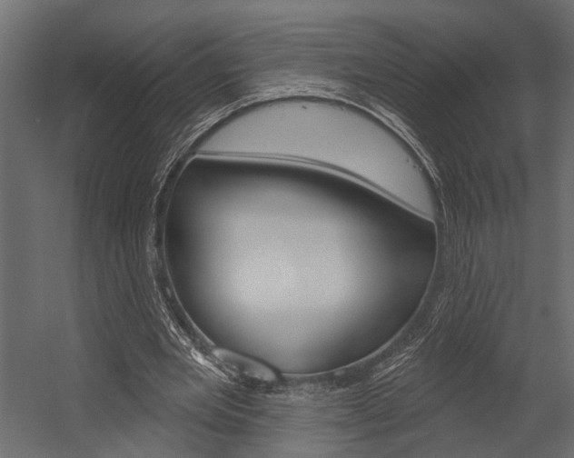 X0000054420485200507290930