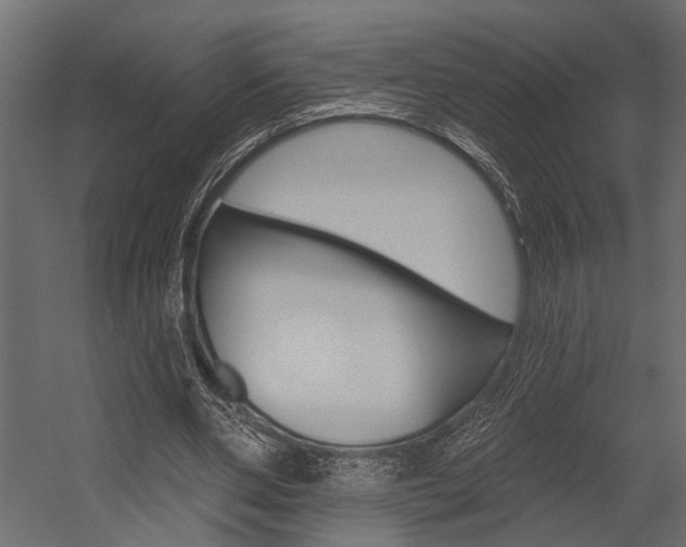 X0000054420486200507290930