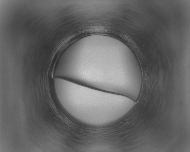 X0000054420487200507290930
