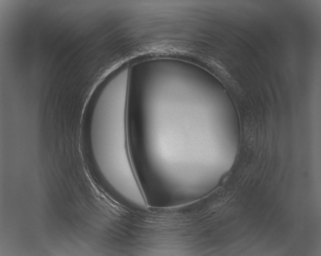 X0000054420488200507290930