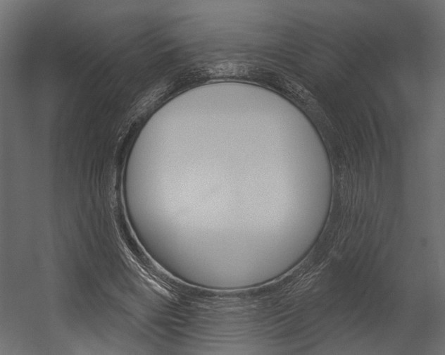 X0000054420490200507290930